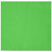 Bandana Tuch in der Farbe lime-green. Multifunktionelles Viereck-Tuch